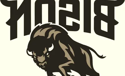 Howard Bison