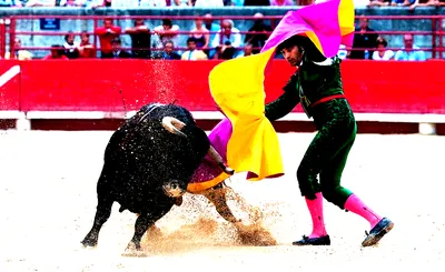 Spain